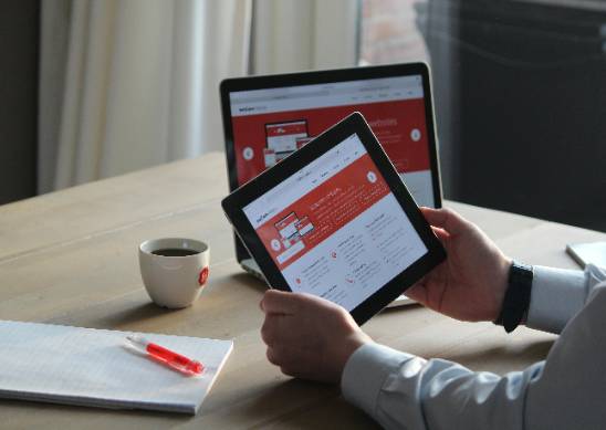 website layout